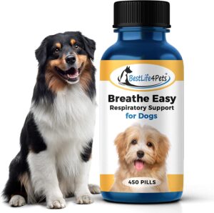 Causes of bad breath in dogs other than teeth