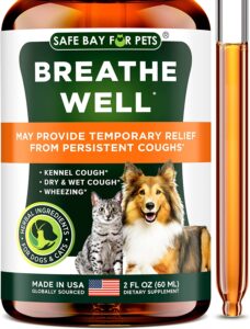 Causes of bad breath in dogs other than teeth