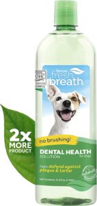 Bad Breath In Dogs With Cancer